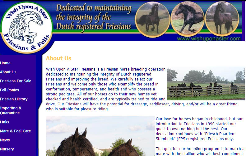 Wish Upon A Ster Friesian Horses.jpg